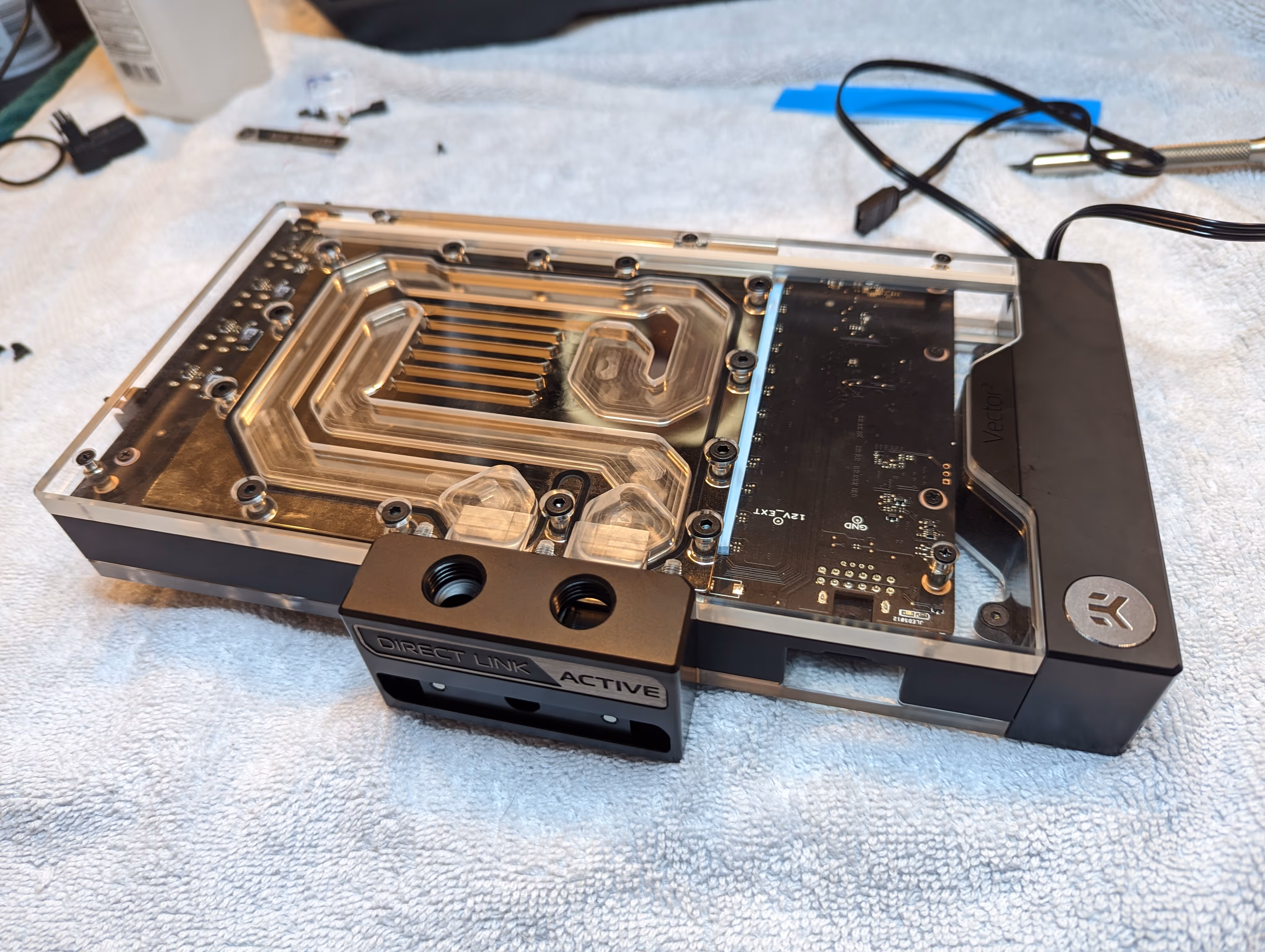 Image from PC Build: "Forte" (2022) album