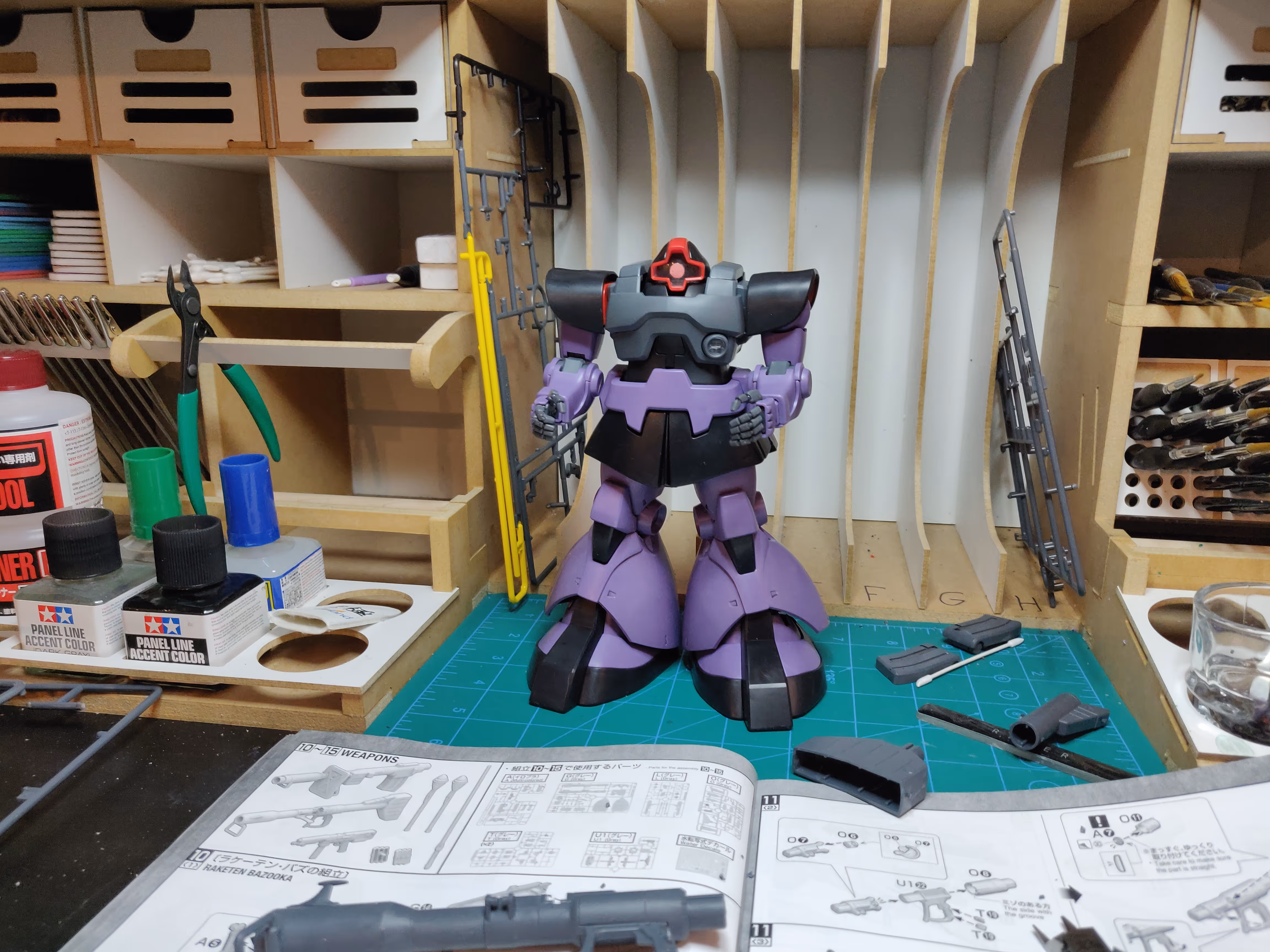 Image from MS-09 Dom album