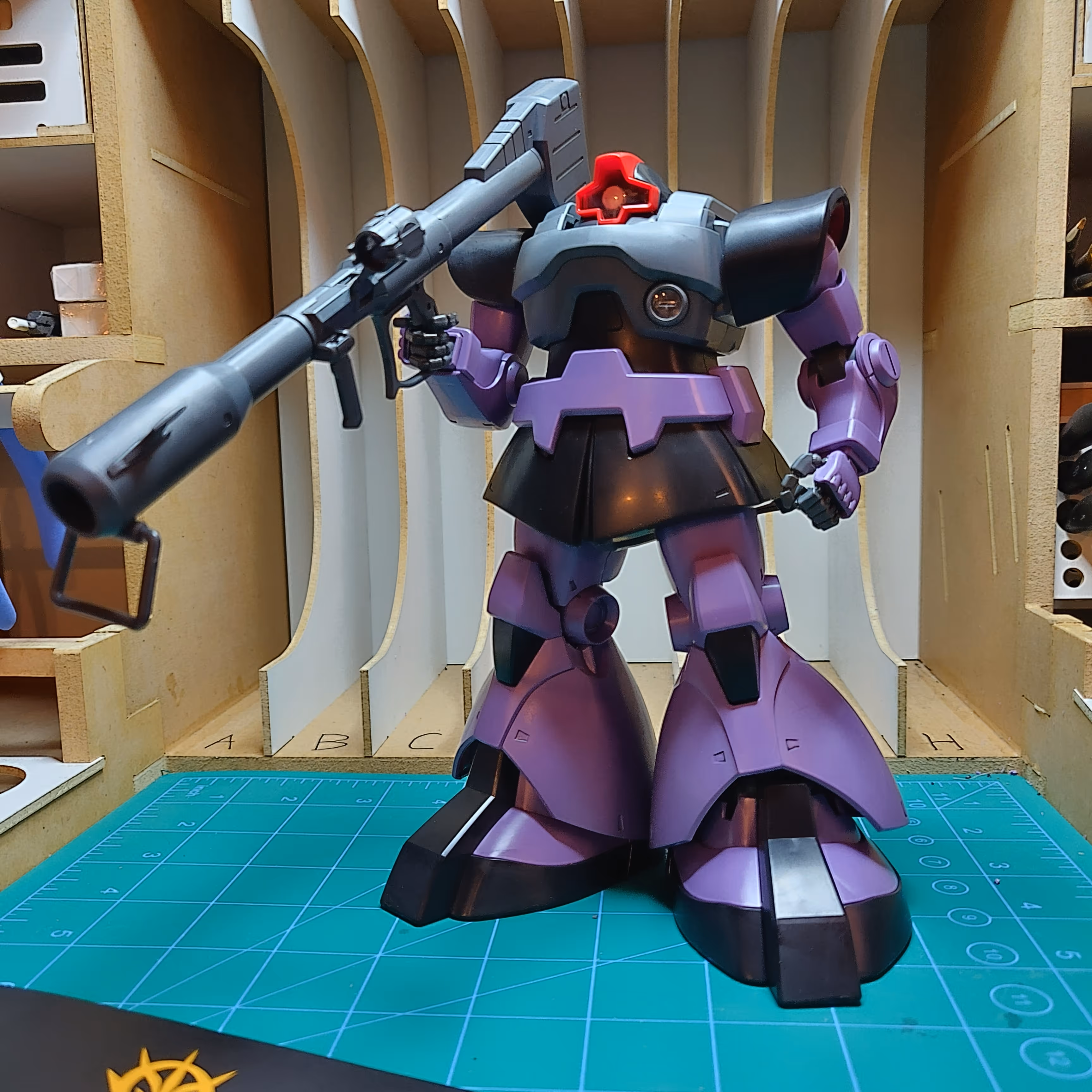 Image from MS-09 Dom album